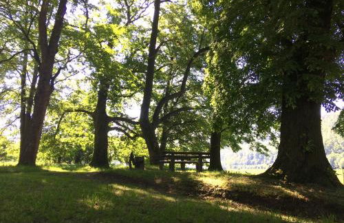 Schloss Prossen - Foto 23