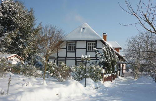 Ferienwohnung Weserblick Polle - Foto 41