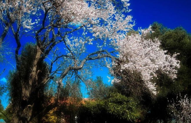 Agriturismo San Matteo - Photo 25