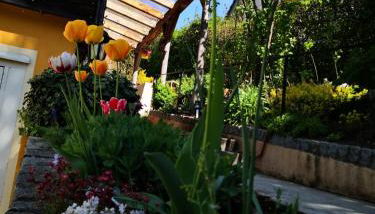 Haus Rebberg - Foto 3