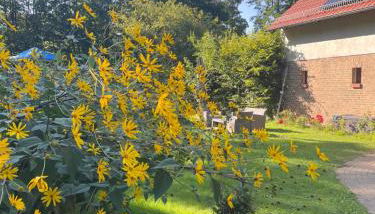 Remise an der Rennbahn - 30 Minuten zum Alexanderplatz und doch im Grünen - Foto 3, Garden, Garden view
