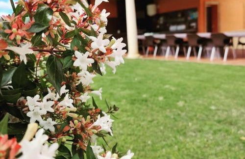 El cerro de cabañeros - Foto 14