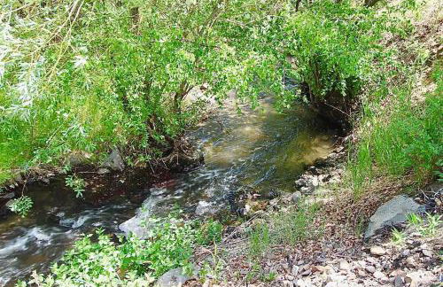 Charming, Spacious, Contemporary Mountain Retreat - Foto 31