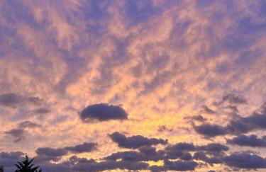 6 Mechanic - Foto 14