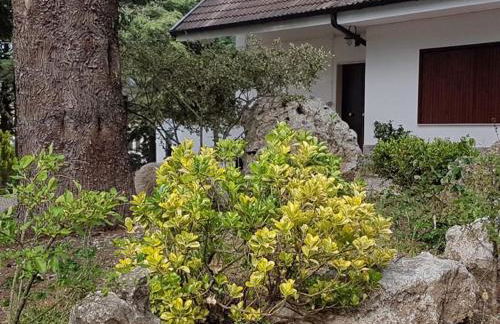 Le Conifere - Foto 15