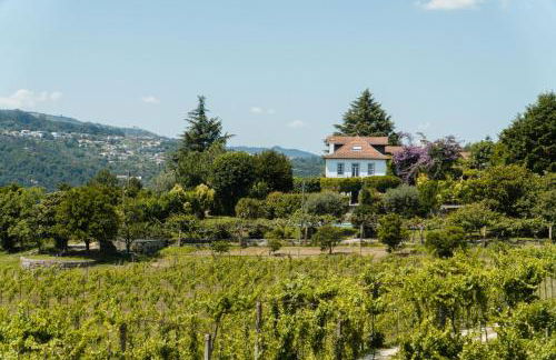 Casa de Algar - Enoturismo - Foto 15