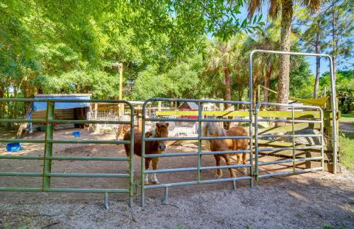 Cozy Fort Pierce Cottage on Farm Animal Rescue! - Foto 22