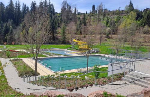 Les Papillons - Foto 22