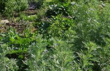 Ruralna kuća za odmor Pozojova hiža - Rural Holiday House - Foto 43