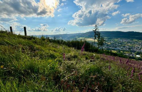 Happy Platz mit Sauna, Flair & Platz für 6 Personen - Foto 17