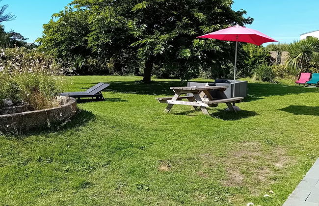 Les Cordylines - Foto 16