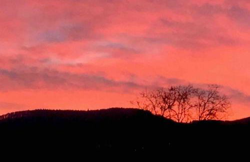 Wohnen direkt am Moselstrand - Foto 49