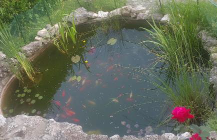 Apartman Max - Foto 15