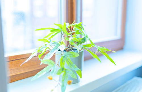 OH KEY Apartments - unlock your stay - Zentral in Fulda-City - Photo 7