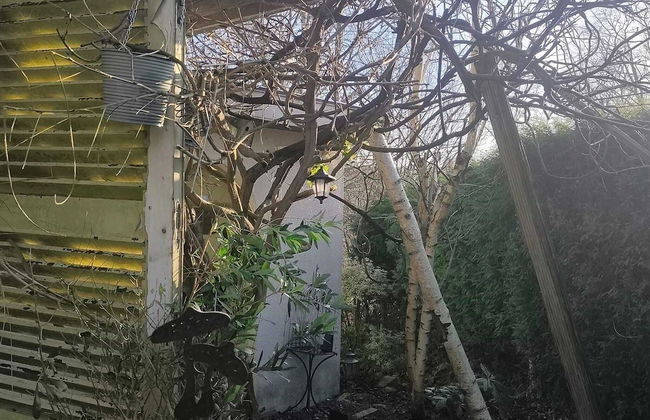 Charming Studio the Heart of the Forest - Foto 23