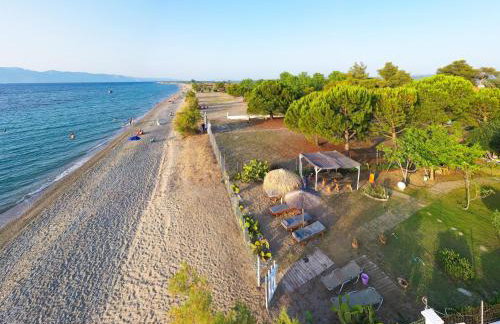 Beach Villa Next To The Waves! - Photo 6
