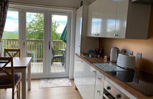 Badger Lodge with Hot Tub - Foto 8