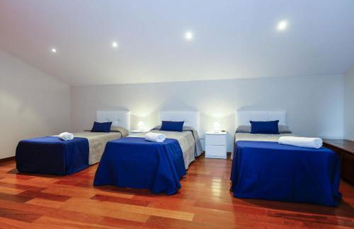 Gira-sol Planetcostadorada - Foto 17