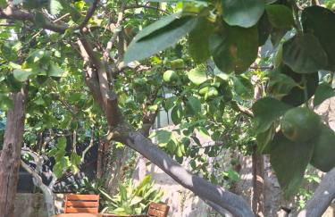 Grazia's Home - Foto 4