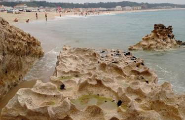 West coast dream Nazare - Foto 53