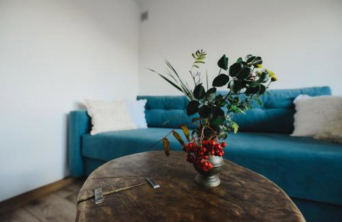 Apartament Zielony Ruczaj w Cisnej - Photo 17