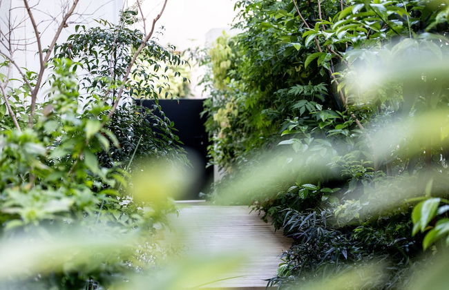 Tel Aviv Garden Oasis by Sea N' Rent - Foto 37