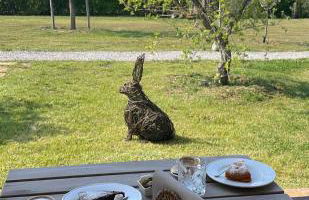 Casale Oliveta - Foto 16