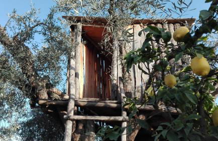 Le Case Di Bacco - Foto 37