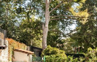 Il Lavatoio - Foto 2