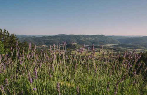 Apartment Finderli - Photo 35