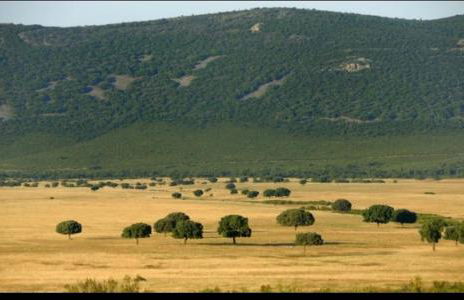 Chalet Dani con parcela privada a 8min de Puy Du Fou - Foto 21