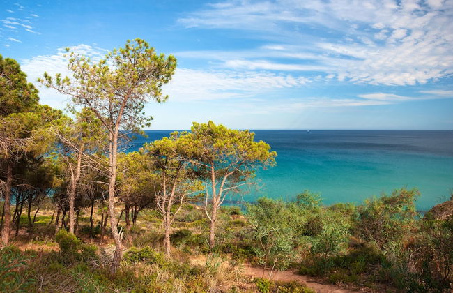 Residence Baia Delle Palme Nm1222 - Foto 40