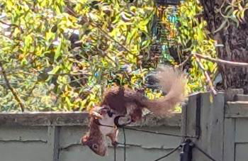 Cosy Highland Cottage - Foto 3