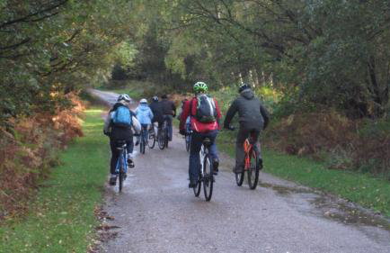 Teal Lodge - Foto 15