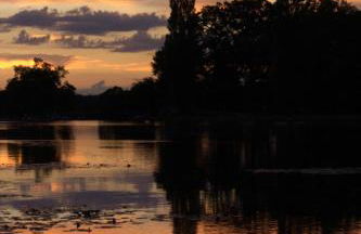 Ferien im Gartenrausch - Gönn Dir eine Auszeit im Herzen von Wörlitz - Foto 34