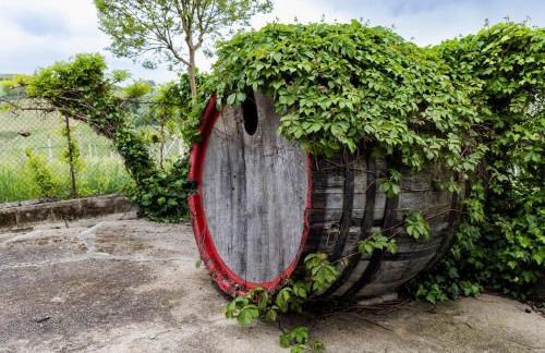 Villa Barbara - Slow Wine Estate with Private Pool, Air Conditioning and Panoramic Views on Wineyards - Foto 43