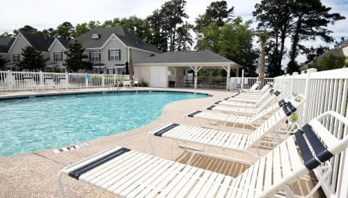 Scotch Broom E-104 - Foto 2