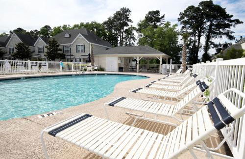 Scotch Broom E-104 - Foto 2