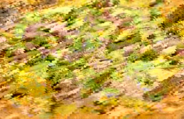 San Antonio Food Tour - Foto 1