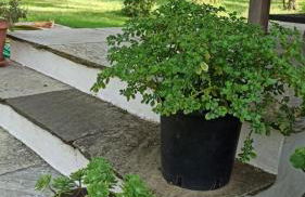 Nafpaktos cottage by the sea for travelers and dreamers! - Foto 57