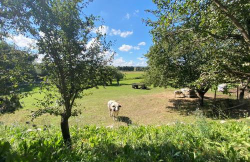 Haus Windfee Fewo 1 - Foto 27