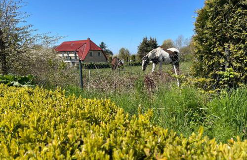Dat-Klinkerhus-auf-Ruegen-XXL-Urlaubsparadies-nahe-Ostseestrand-Nationalpark-fuer-17-Gaeste - Foto 49
