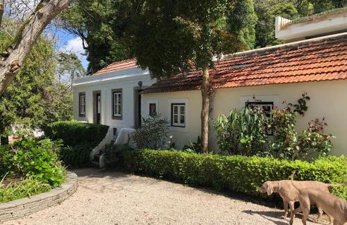 Luxurious royal estate in historic Sintra paradise - Foto 22