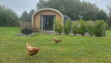 Dwell on the Moor - Foto 2, Garden, Garden view