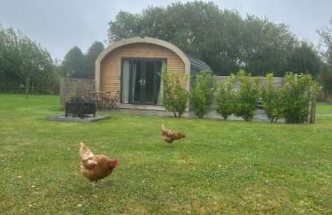 Dwell on the Moor - Foto 2