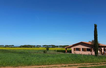 Bio Agriturismo Le Giunchiglie - Foto 14