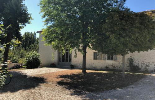 Domaine du Grand Tourtre - Foto 45