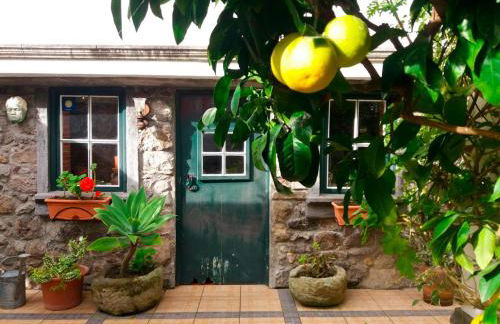 Quintal d'Angra - Photo 24