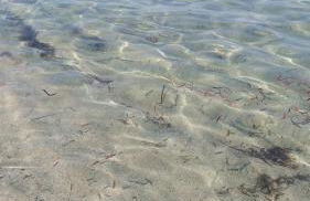 Casa Vacanze di Pieranna - Foto 40