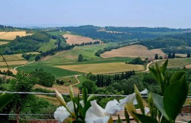 Casa ARMANDA 2 - Foto 69